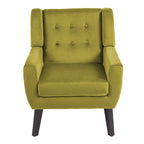 Lot de 2 fauteuils de salon en velours avec accoudoirs