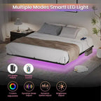 Cadre de lit flottant King Size avec lumières LED et station de charge - Plateforme en métal
